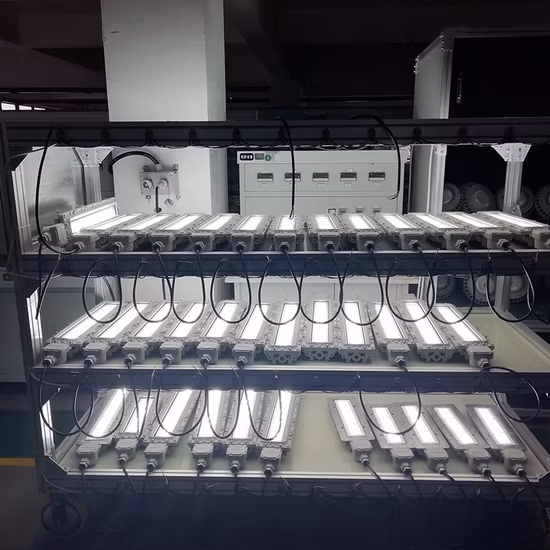 LED 防爆 LED ライト IP66 トライプルーフ防爆